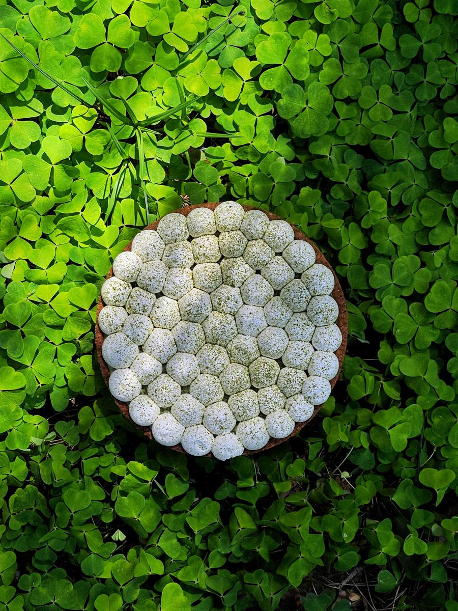 Artisan by No Chef #2