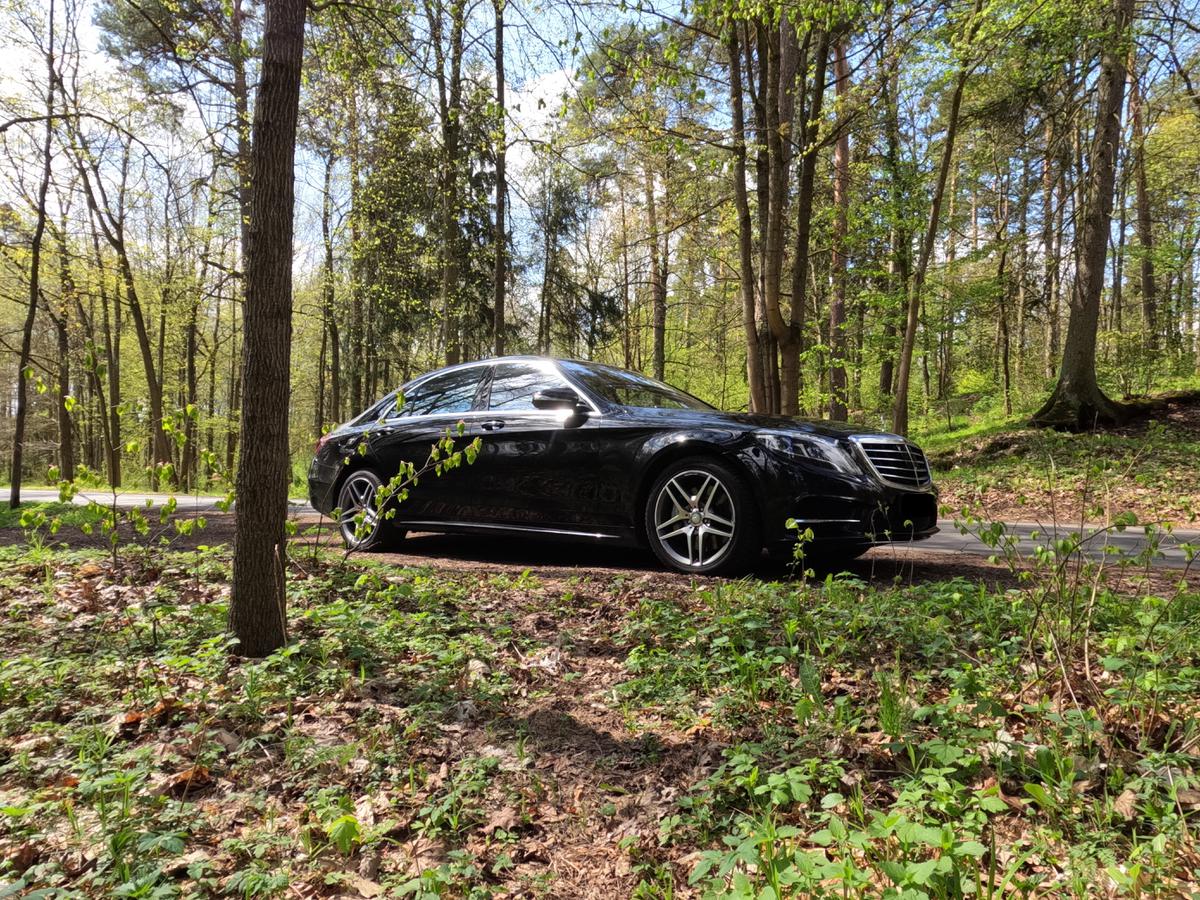 Mercedes Benz S500 Mit 280 Durch Den Wald